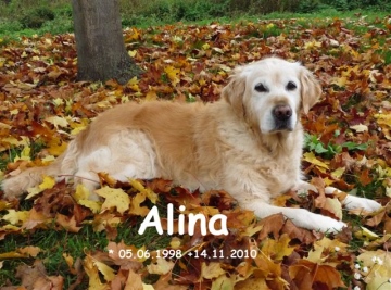 Alina am 18.10.2010