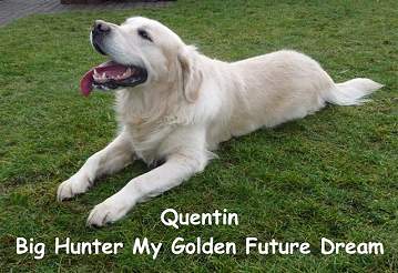 Quentin Big Hunter My Golden Future Dream 