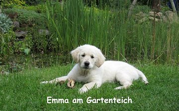 Emma am Gartenteich